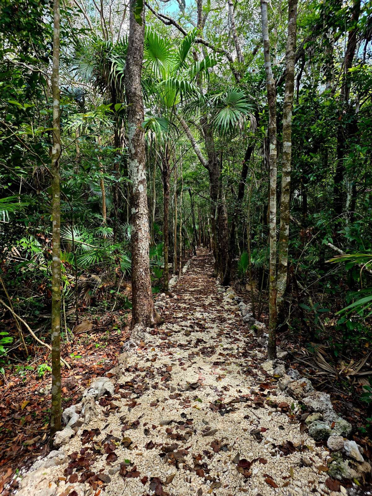 Sendero